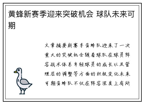 黄蜂新赛季迎来突破机会 球队未来可期