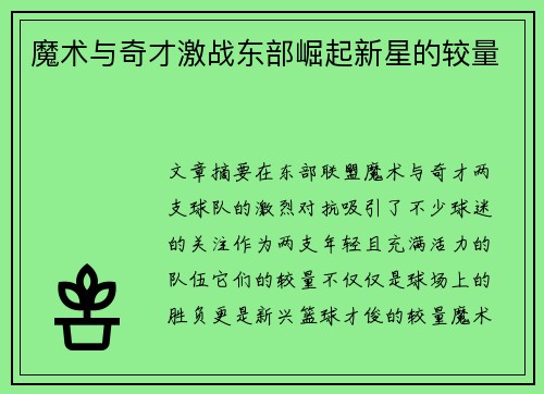 魔术与奇才激战东部崛起新星的较量